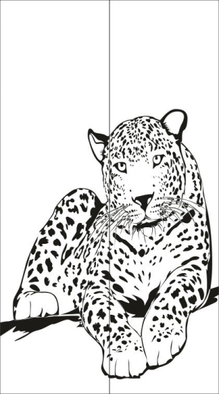 Рисунок на шкаф-купе R7772